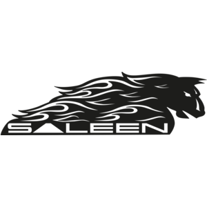 Saleen 1