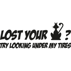 Lost your cat?