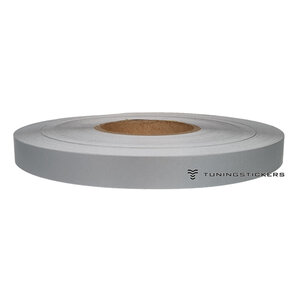 Silver Metallic 13 mm Striping