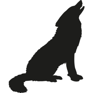 Husky