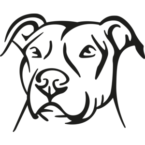 Pitbul