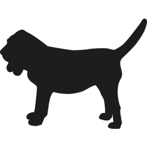 Bloedhond