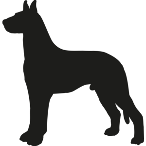 Duitse Dog