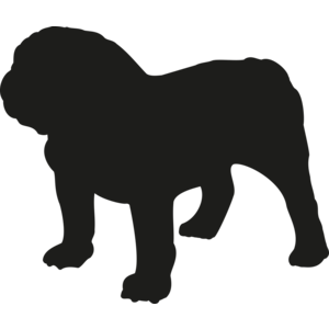 Engelse Bulldog
