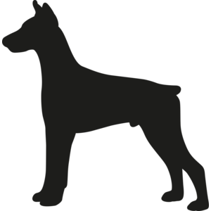Doberman
