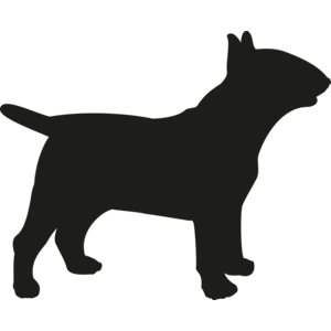 Bull Terrier