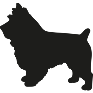 Keeshond