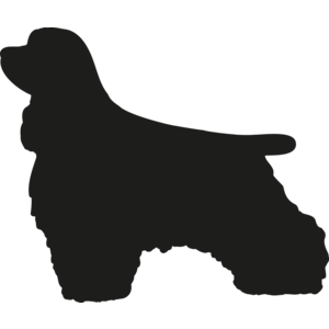 Cocker Spaniel