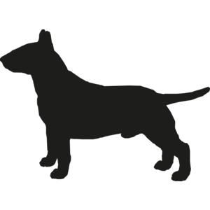 Bull Terrier