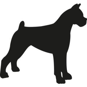 Boxer