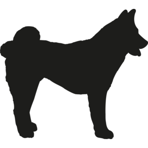 Akita