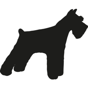 Schnauzer