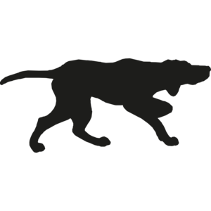 Pointer