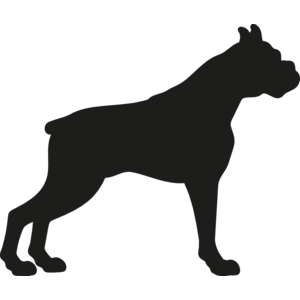 Boxer