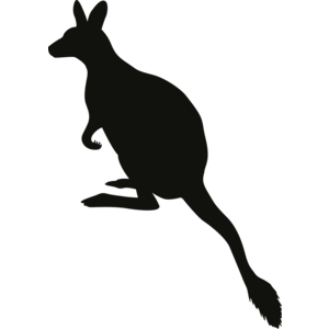 Kangaroo - A
