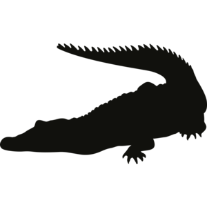 Krokodil