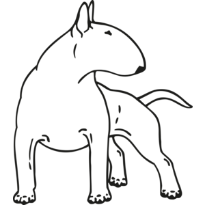 Engelse Bull Terrier