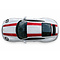 Porsche Porsche 911 - 991 R striping set
