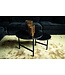 PTMD Waze Black Marble iron coffeetable marble top rnd