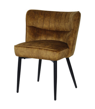 PTMD Marth Brown dining chair