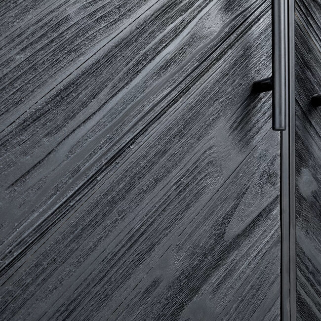 PTMD Zwarte vakkenkast Rens