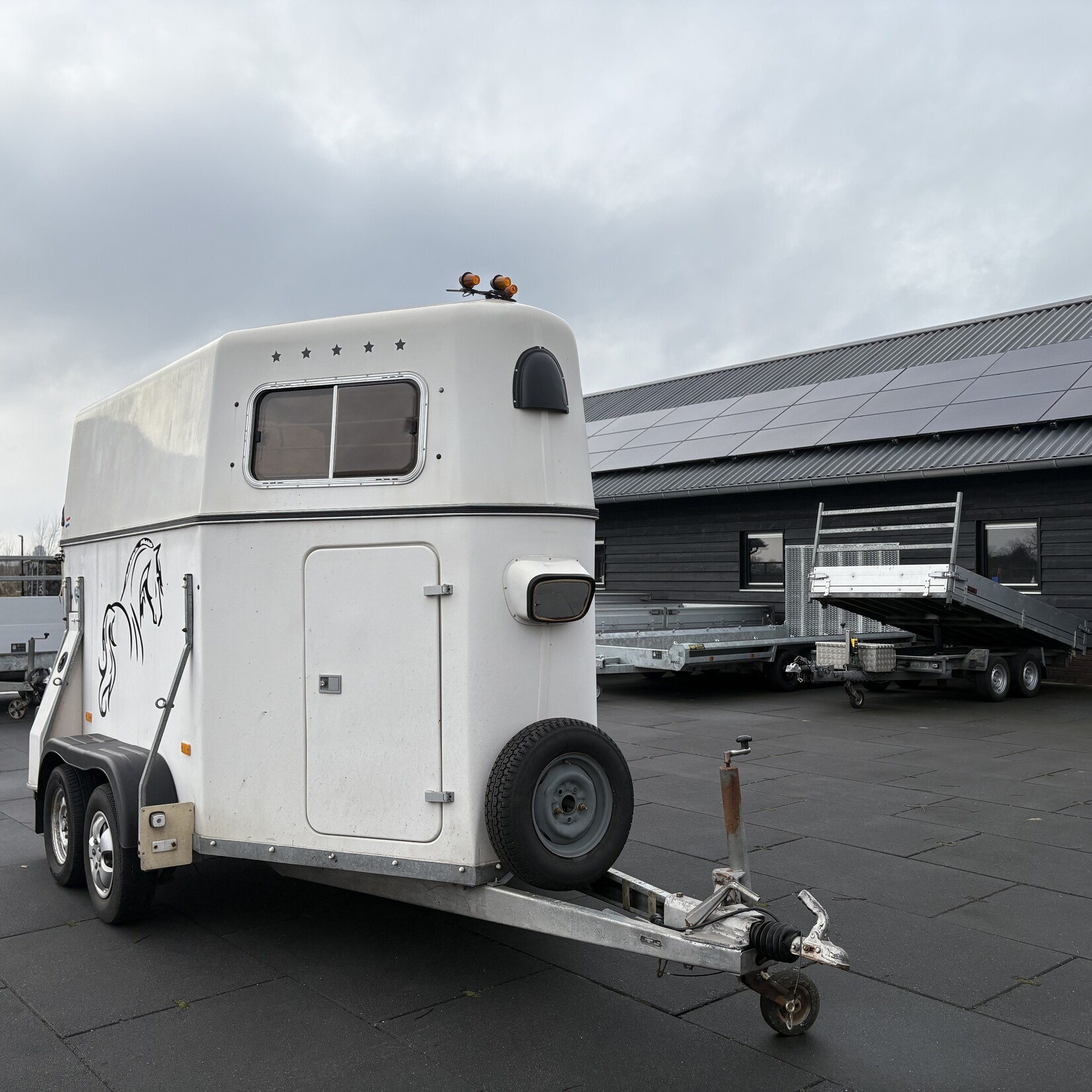 Heja 5 sterren 2-paards