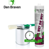 Zwaluw Den Braven Zwaluw Acryl Wet on Wet Acrylaatkit - Wit - 310ml