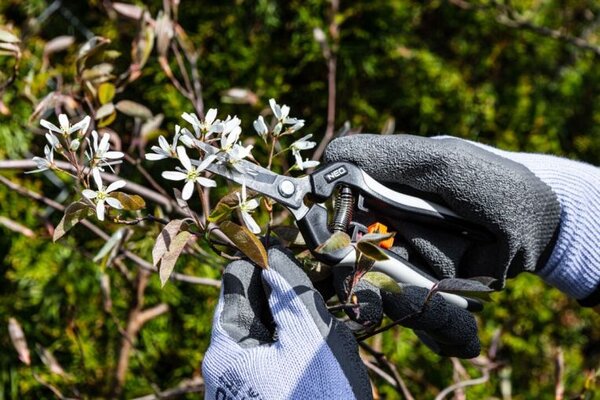 NEO TOOLS NEO TOOLS Werkhandschoenen - M10