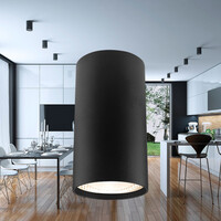 Braytron Braytron Gama 8011  LED Lamp Opbouw - IP20 - 1xGU10 -  Rond Ø55mm - Zwart