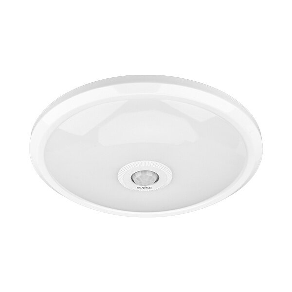Braytron Braytron LED Lamp Opbouw - IP20 - 15W - 4000K -  Rond Ø285mm - Wit