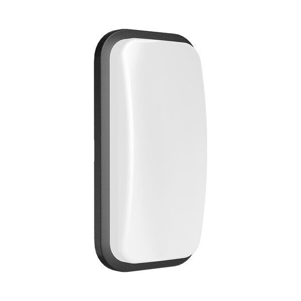 Braytron Braytron LED Wandlamp IP65 - 15W - 6500K - Zwart