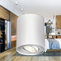 Braytron Braytron Gama 8011  LED Lamp Opbouw - IP20 - 1xGU10 -  Ø80mm - Wit