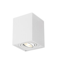 Braytron Braytron Gama 8011  LED Lamp Opbouw - IP20 - 1xGU10 -  Vierkant - Wit
