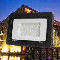 Braytron Braytron LED Bouwlamp - IP65 - 100W - 6500K (Zwart)