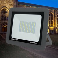 Braytron Braytron LED Bouwlamp - IP65 - 100W - 6500K (Grijs)