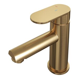 Brauer Edition Opbouw Wastafelmengkraan - Laag - PVD - Geborsteld Goud