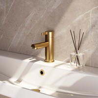 Brauer Brauer Gold Edition Opbouw Wastafelmengkraan - Laag - Hendel Model E - PVD - Geborsteld Goud
