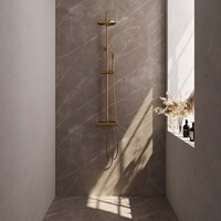 Brauer Brauer Gold Editon Regendoucheset: Thermostatische Opbouwkraan met Omstel, Stijgbuis, Douchekop 20cm, Staafhanddouche & Doucheslang - Set 1 - Draaiknoppen - PVD - Geborsteld Goud