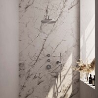 Brauer Brauer Brushed Editon Regendoucheset:  Thermostatische Inbouwkraan met Stopkranen, Gebogen Wandarm, Douchekop 30cm, Wandhouder met Wateruitlaat, Staafhanddouche & Doucheslang - Set 4 - Draaiknoppen - PVD - Geborsteld RVS