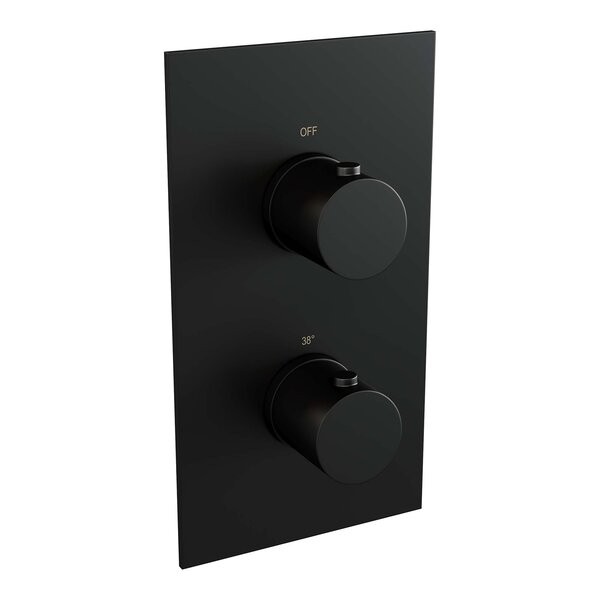 Brauer Brauer Black Editon Regendoucheset:  Thermostatische Inbouwkraan met 3-Weg Omstel, Gebogen Wandarm, Douchekop Ø20cm, Wandhouder met Wateruitlaat, Staafhanddouche & Doucheslang - Set 27 - Draaiknoppen - Mat Zwart