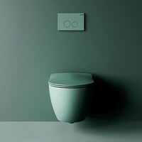 Creavit Creavit Toiletzitting met Soft-Close en Quick Release - Nijlgroen