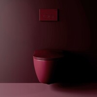 Creavit Creavit Toiletzitting met Soft-Close en Quick Release - Berry
