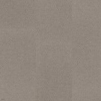 Bodiax Bodiax Rock Klik PVC Tegelvloer met Geïntegreerde Ondervloer - 525 - Harz