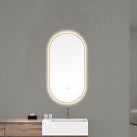 Wiesbaden Wiesbaden Nomi Spiegel met LED Verlichting - Ovaal - Dimbaar - Spiegelverwarming - 50x100cm - Geborsteld Messing