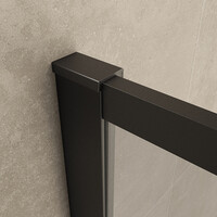 Wiesbaden Wiesbaden Square Inloopdouche - 10mm Helder Glaswand - 80x200cm - Muurprofiel - Nano Coating - Mat Zwart
