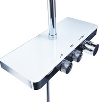 Wiesbaden Wiesbaden Nuovo Thermostatische Opbouw Regendouche met Kraan, Glijstang en 3-Standen Handdouche - Ø30cm - Chroom