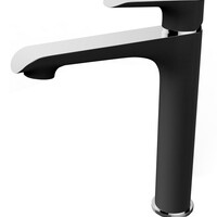 Wiesbaden Wiesbaden Tarma XL Wastafelkraan - Opbouw - Hoog - Zwart Chroom