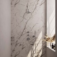 Brauer Brauer Brushed Carving Regendoucheset: Thermostatische Inbouwkraan met Stopkranen, Gebogen Wandarm, Douchekop 20cm, Wandhouder met Wateruitlaat, Staafhanddouche & Doucheslang - Set 3 - Geribbeld Draaiknoppen - PVD - Geborsteld RVS