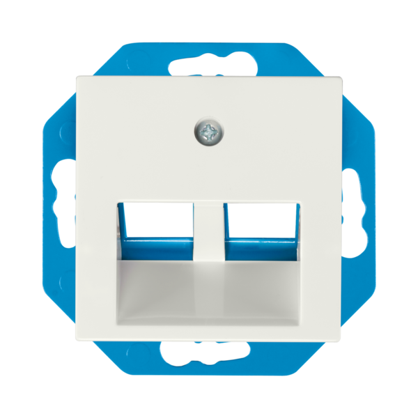 ION Industries ION Industries Modular Jack 30° 2-voudig met Centraalplaat V1/J1 Alpin Wit