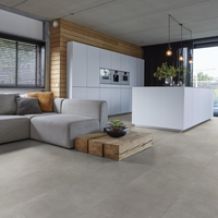 Floorlife Floorlife Basic Plak PVC Tegelvloer - Light Grey
